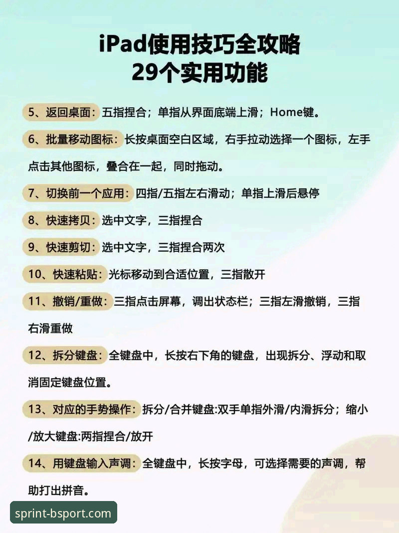 BSports使用教程完整指南：从注册到高阶功能的实战解析